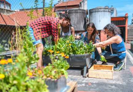 INTRODUCCIÓN AL DISEÑO Y MANEJO DE HUERTOS URBANOS