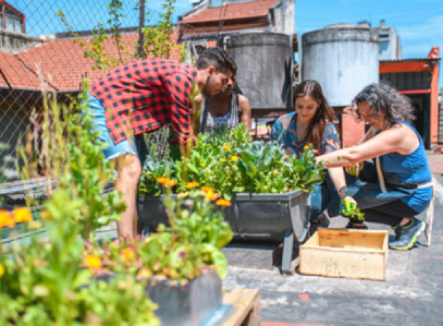 huertos urbanos